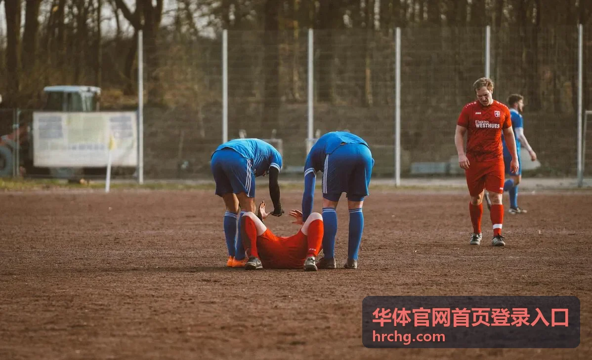 华体官网会员服务入口的个人中心登录界面示意