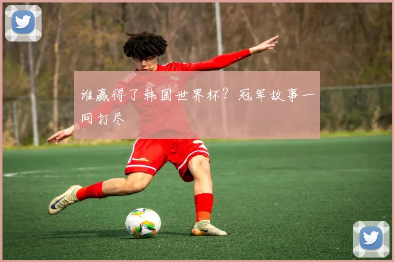 谁赢得了韩国世界杯？冠军故事一网打尽