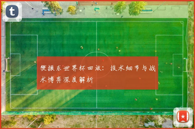 樊振东世界杯回放：技术细节与战术博弈深度解析