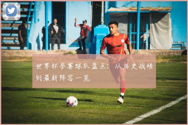 世界杯参赛球队盘点：从历史战绩到最新阵容一览